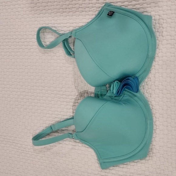 NWT Mint green D+ La Vie En Rose Bikini Top - Picture 1 of 5